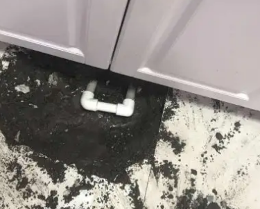 安康市查漏水哪家好